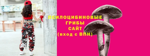 ГАЛЛЮЦИНОГЕННЫЕ ГРИБЫ Алзамай