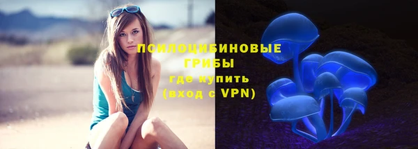 ГАЛЛЮЦИНОГЕННЫЕ ГРИБЫ Алзамай