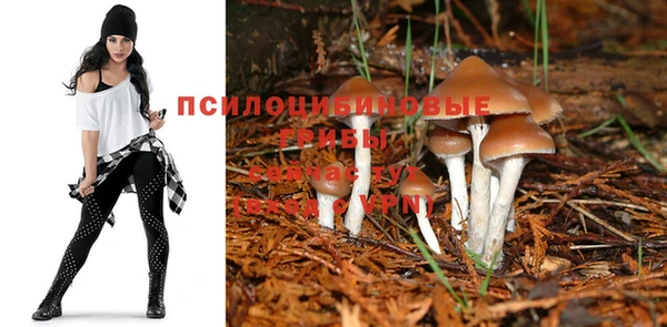 дживик Арсеньев