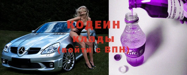 стаф Аркадак