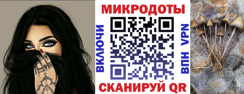 закладки  Калач  Псилоцибиновые грибы Cubensis 