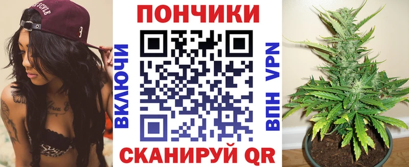 Бошки Шишки ГИДРОПОН  дарнет шоп  Калач 